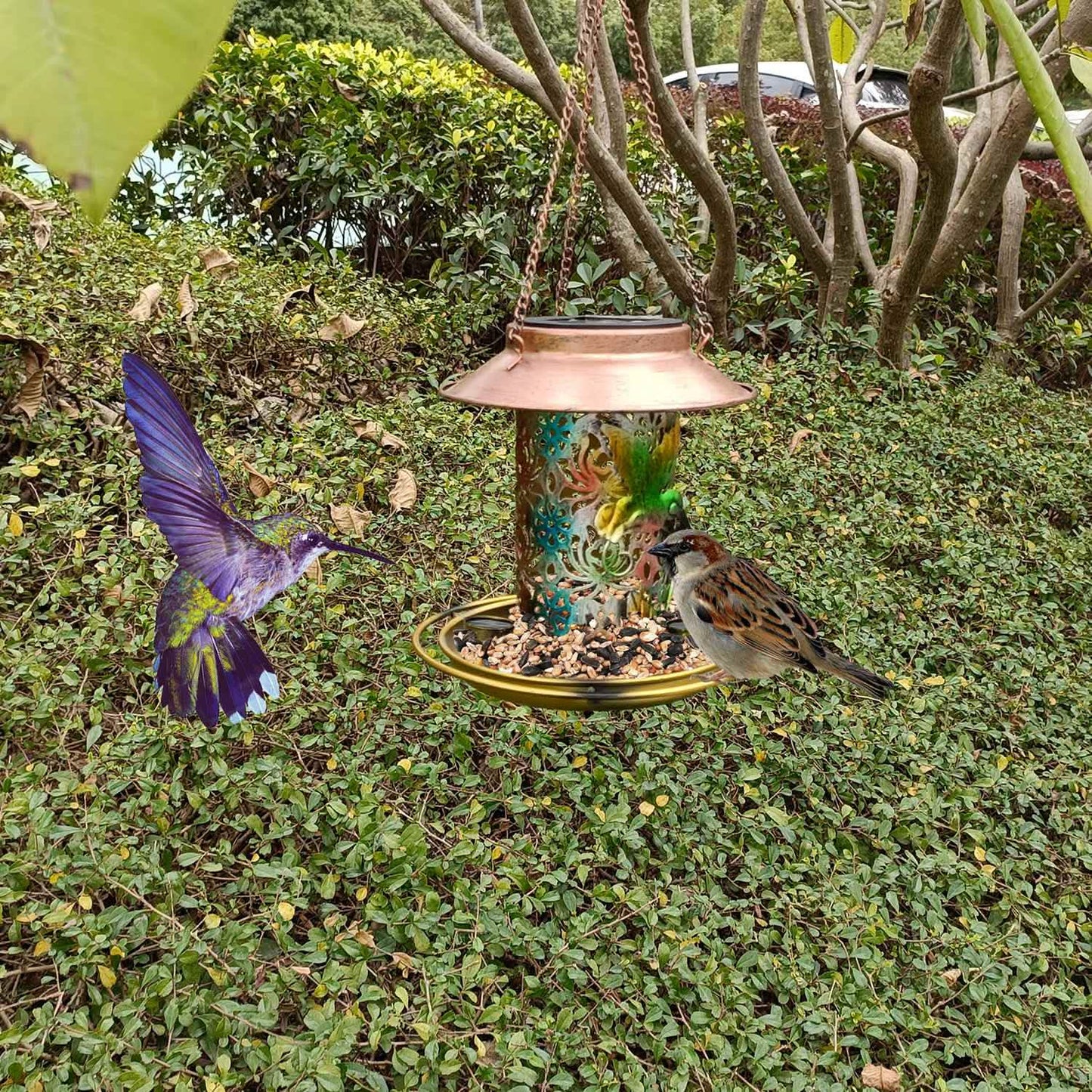Solar Decorative Hanging Bird Feeder Lantern DailySale