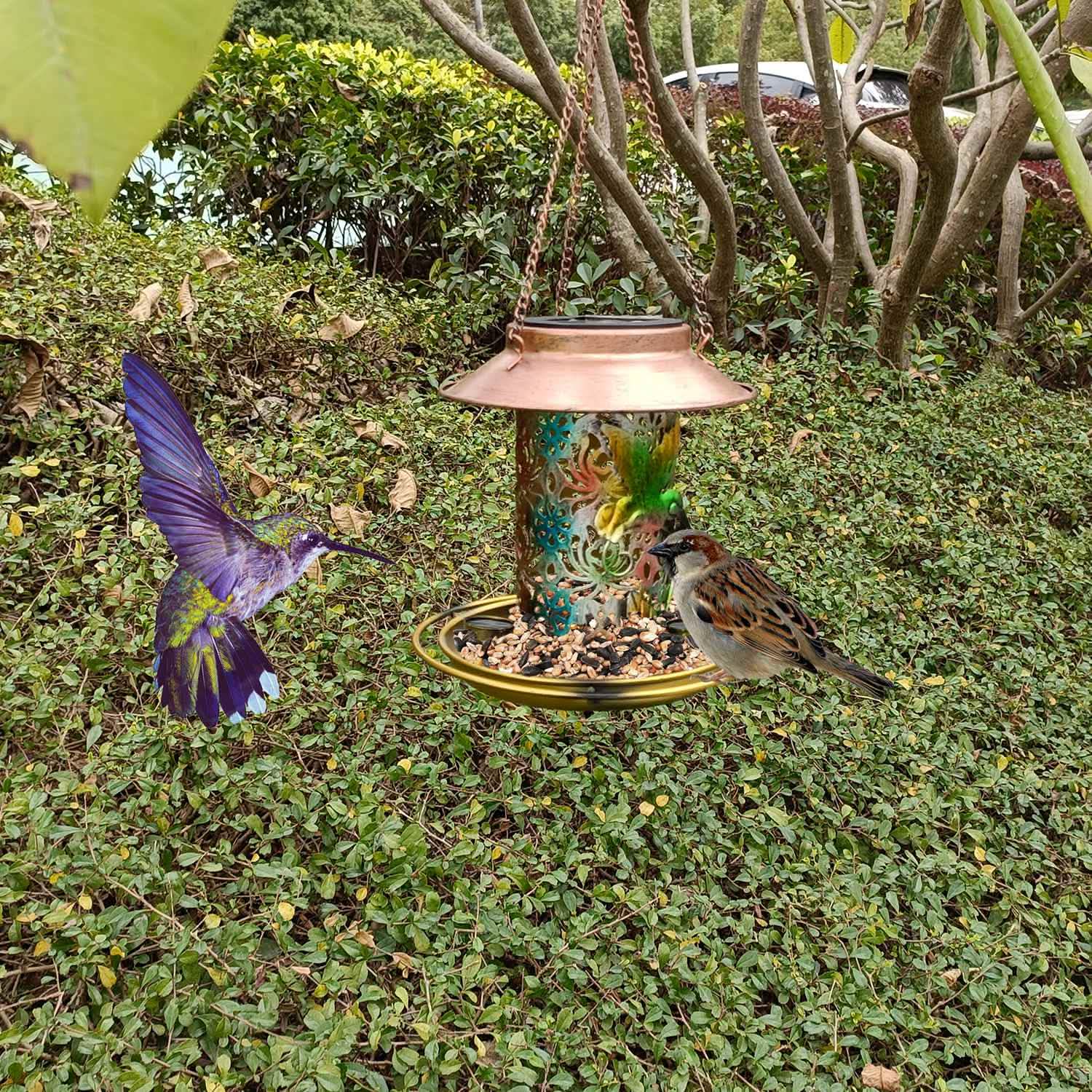 Solar Decorative Hanging Bird Feeder Lantern DailySale