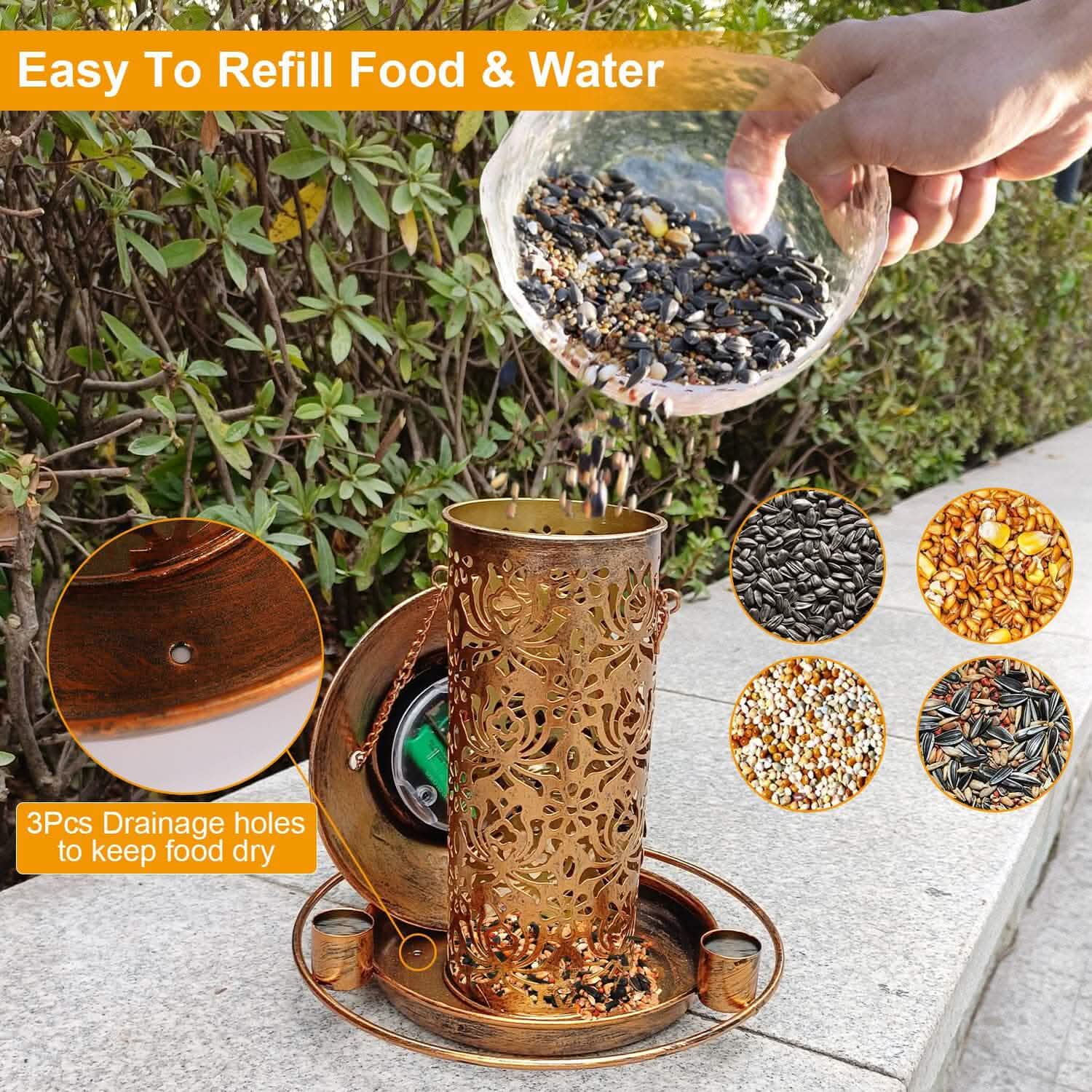 Solar Decorative Hanging Bird Feeder Lantern DailySale
