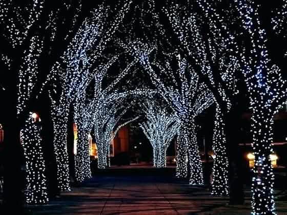 Solar-Powered 100 LED Fairy Light String - Assorted Colors DailySale