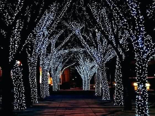 Solar-Powered 100 LED Fairy Light String - Assorted Colors DailySale