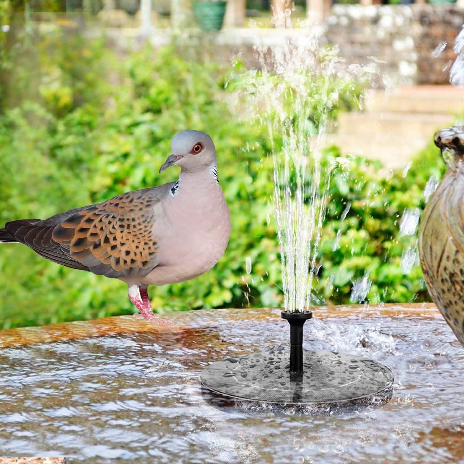 Solar Powered Fountain Pump Floating Bird Bath Pond DailySale