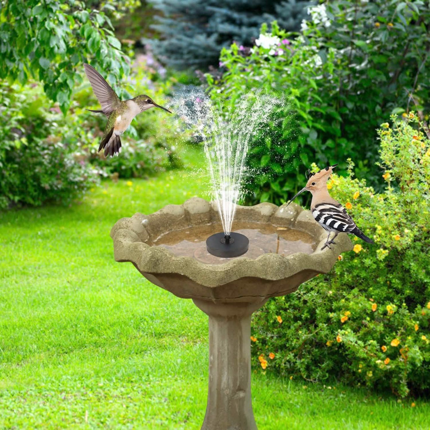 Solar Powered Fountain Pump Floating Bird Bath Pond Pump DailySale