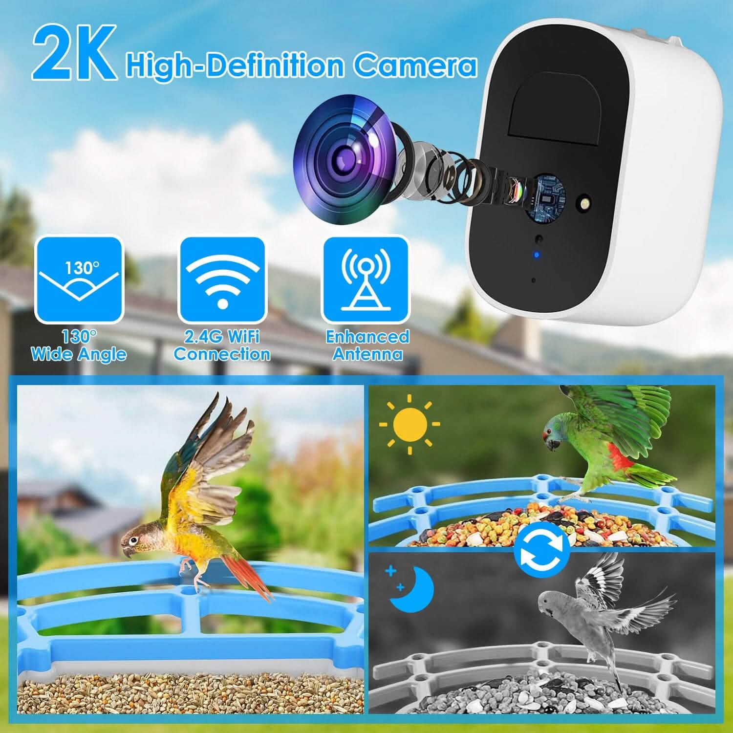 Solar Powered Smart Bird Feeder with PIR Motion AI Two-Way Audio DailySale