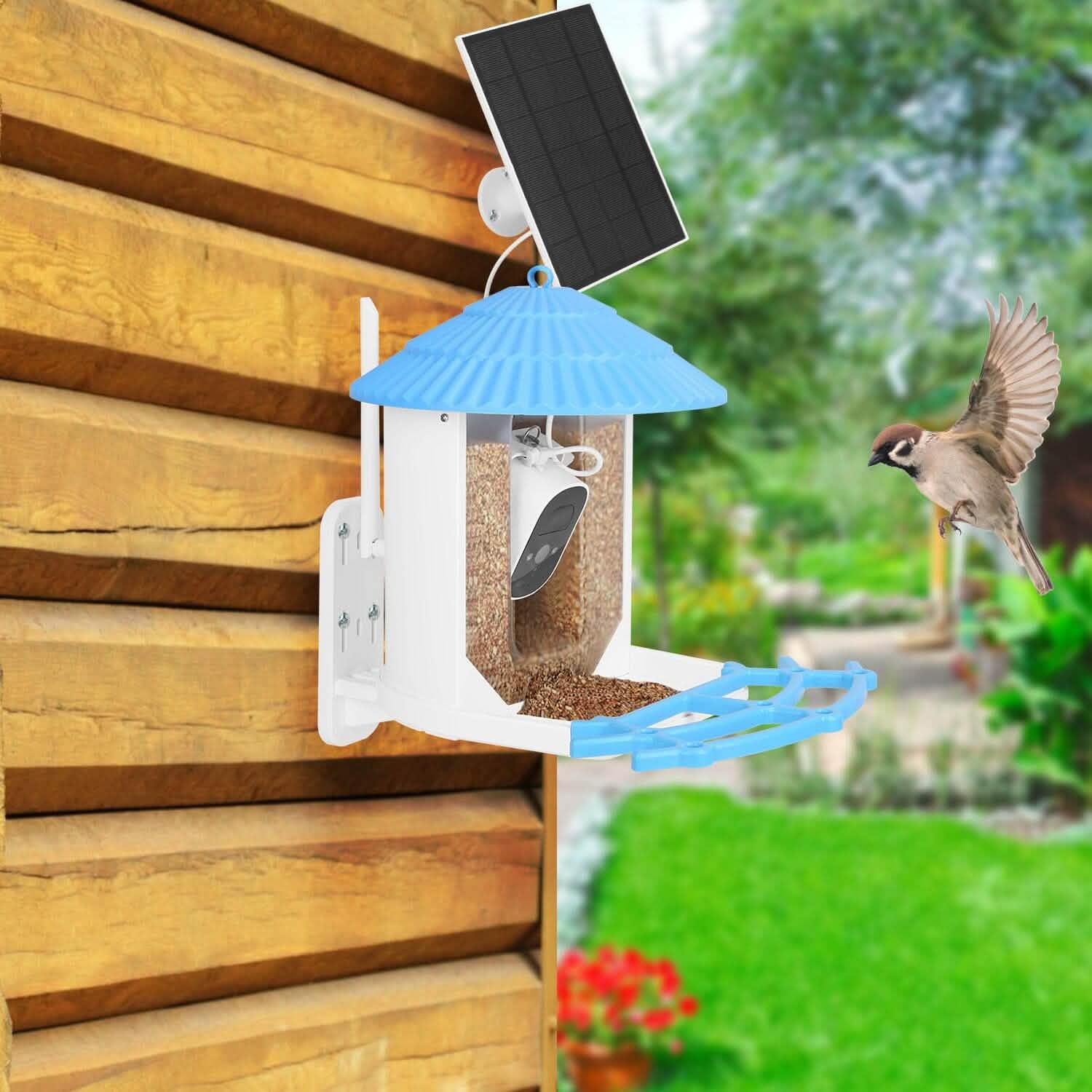 Solar Powered Smart Bird Feeder with PIR Motion AI Two-Way Audio DailySale