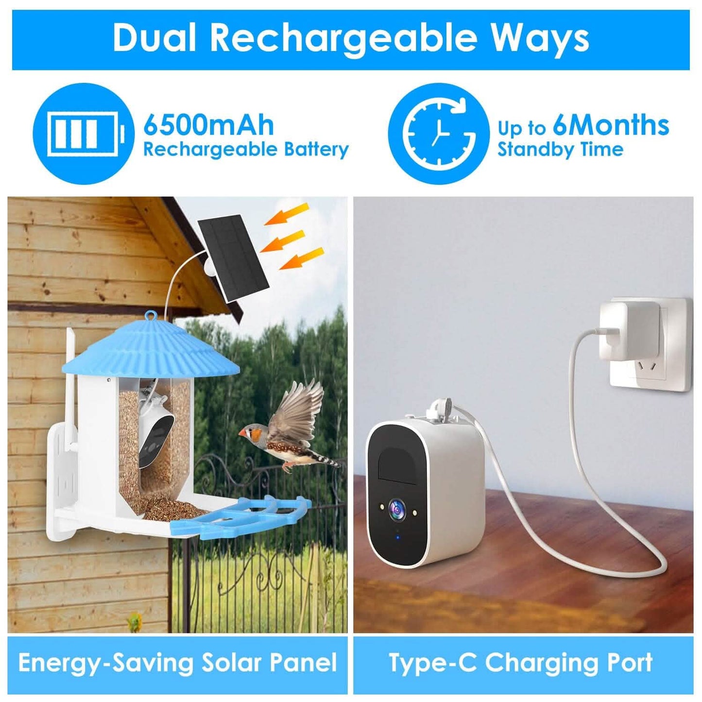 Solar Powered Smart Bird Feeder with PIR Motion AI Two-Way Audio DailySale