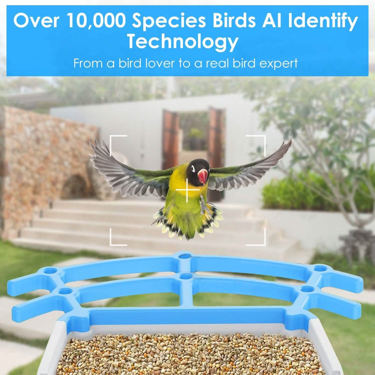 Solar Powered Smart Bird Feeder with PIR Motion AI Two-Way Audio DailySale
