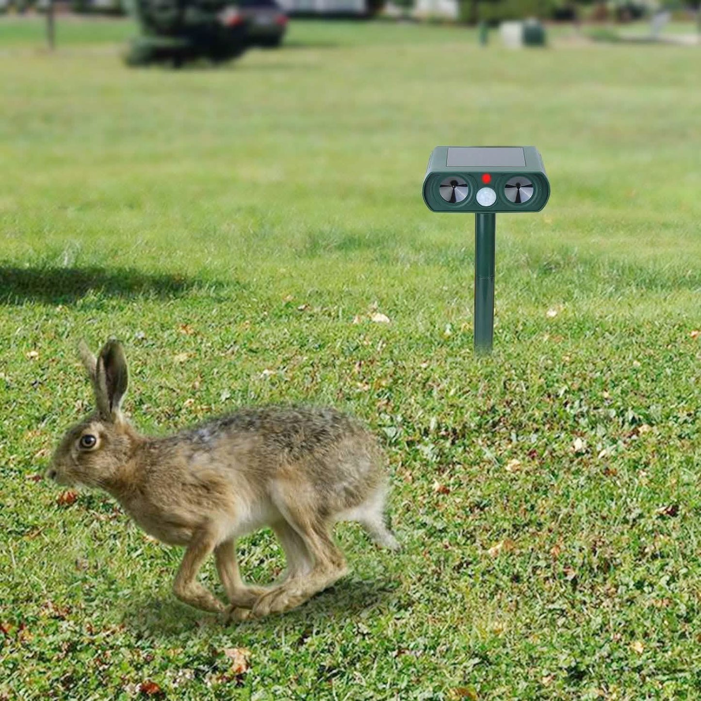 Solar Powered Ultrasonic Animal Repeller DailySale