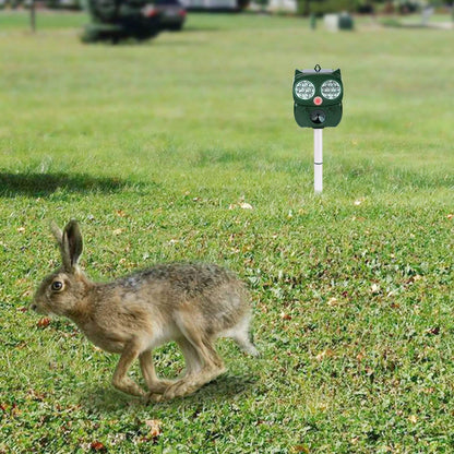 Solar Powered Ultrasonic Animal Repeller PIR Motion Sensor DailySale