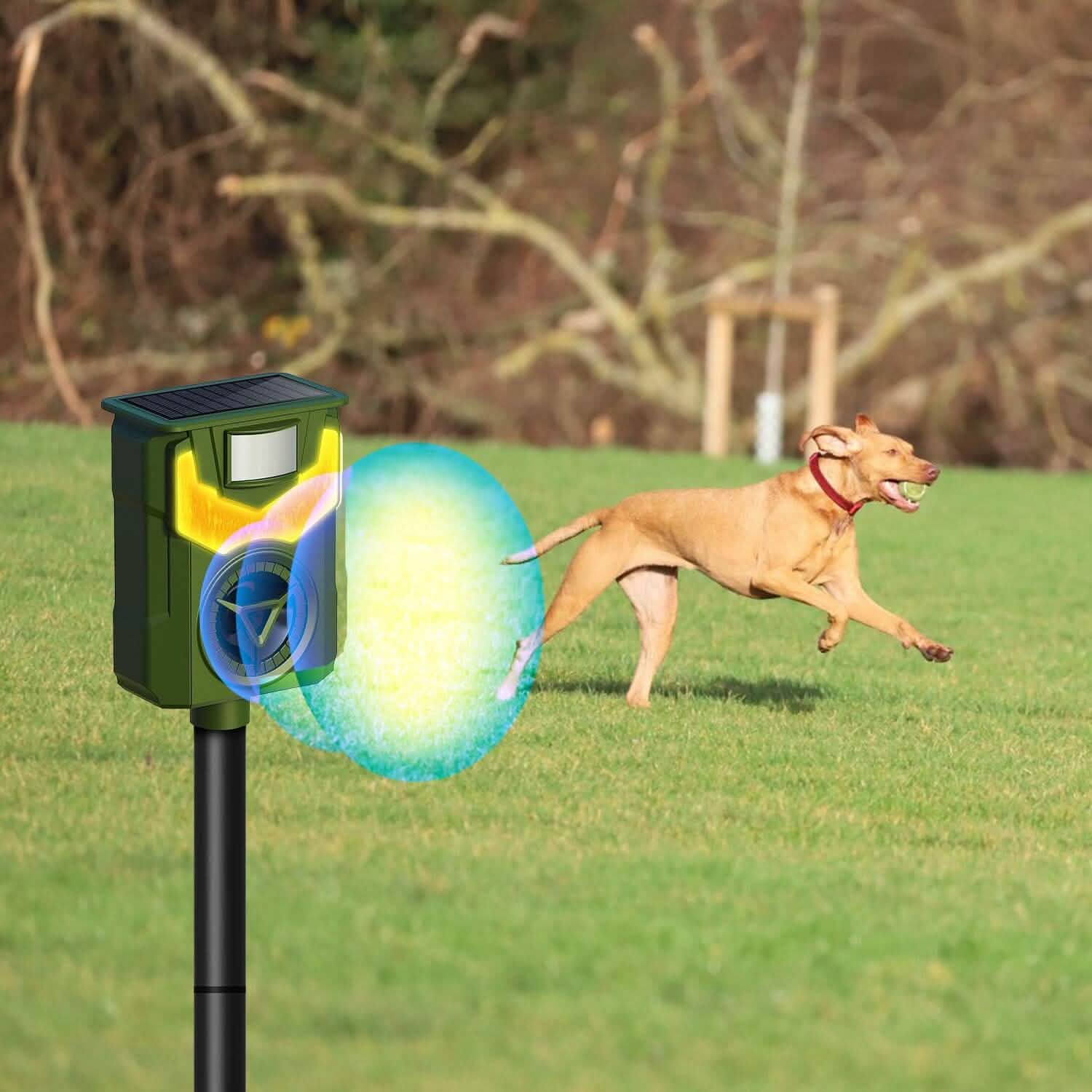 Solar Ultrasonic Animal Repeller with Flame Light USB Charge Motion Sensor DailySale