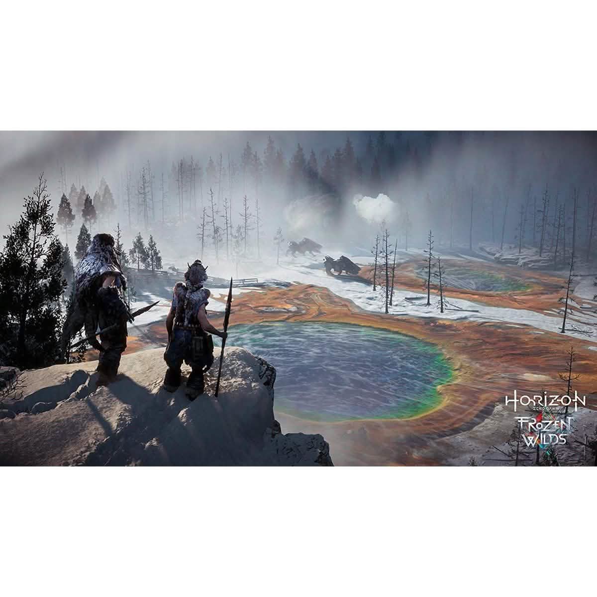 PS4 Horizon Zero Dawn DailySale