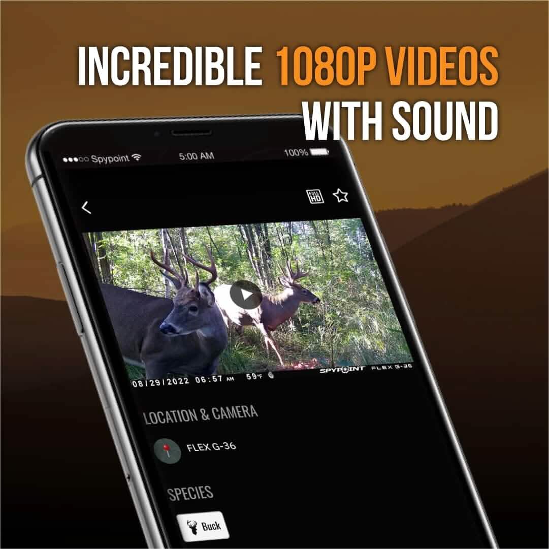 SPYPOINT Flex G-36 Cellular Trail Camera, 36MP Photos and 1080p Videos w/Sound (Refurbished) DailySale