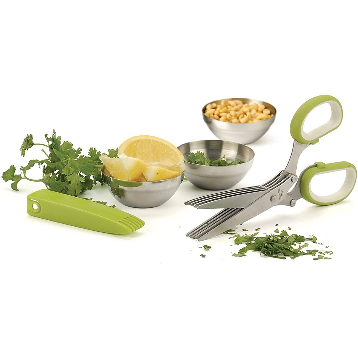 Stainless Steel 5 Blade Herb Scissors DailySale