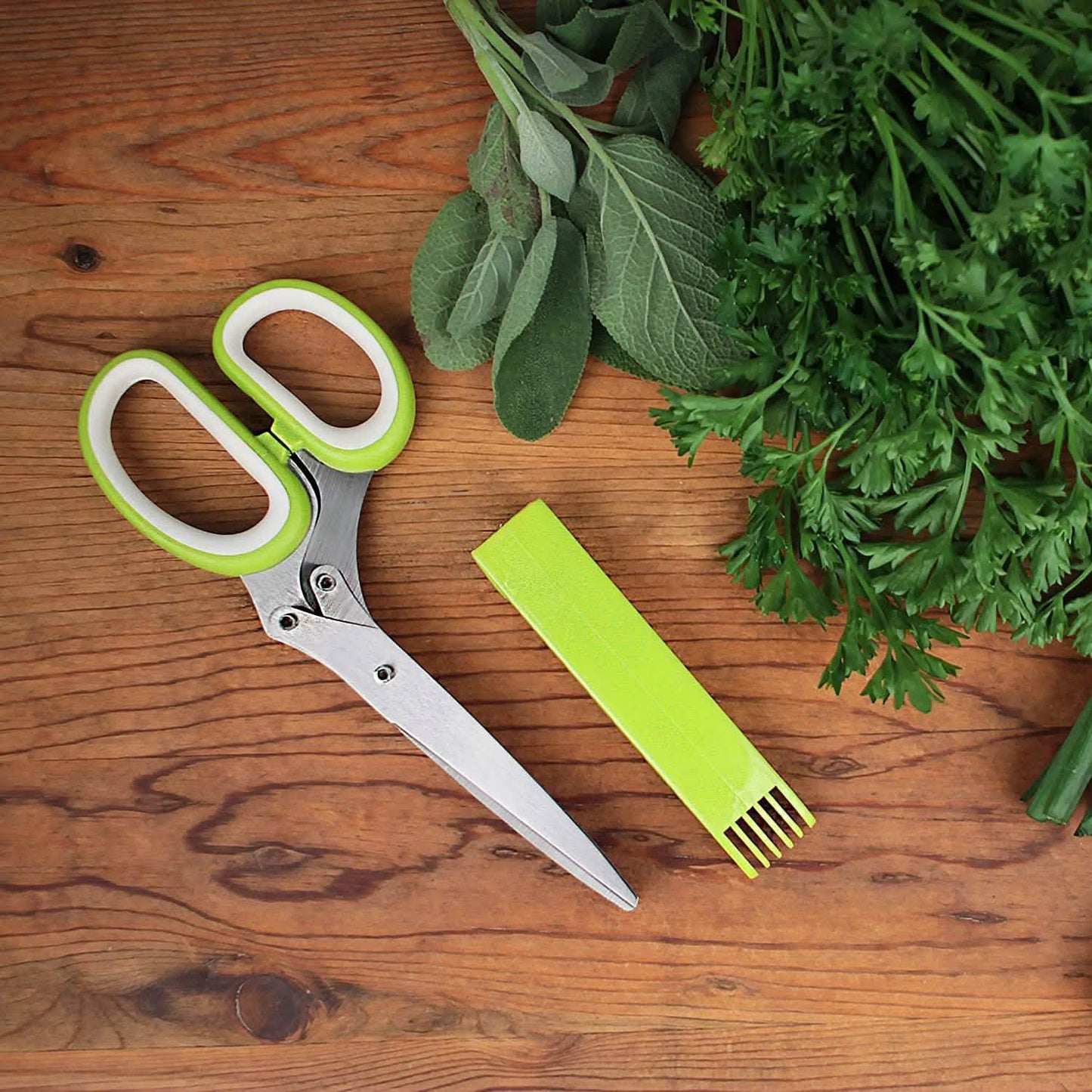 Stainless Steel 5 Blade Herb Scissors DailySale