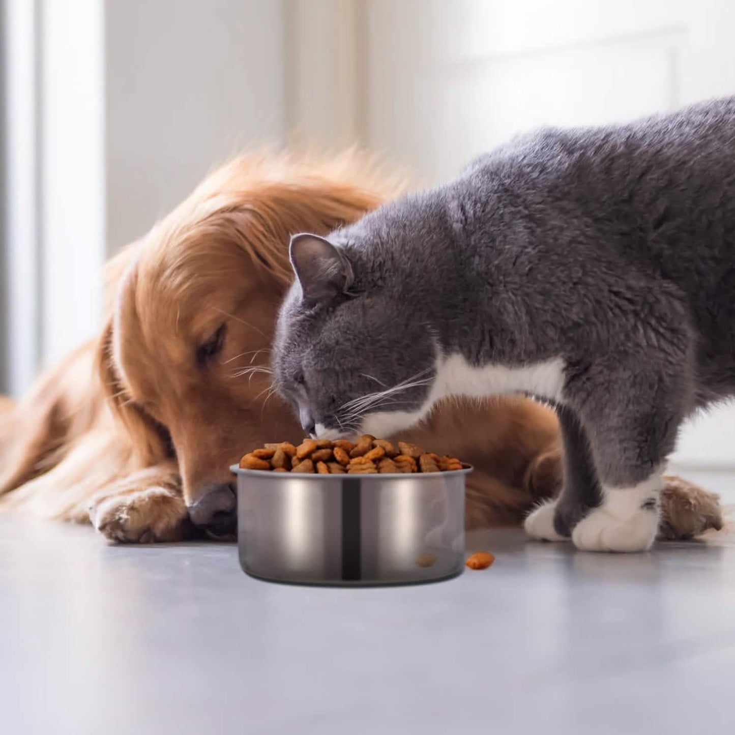 Stainless Steel Dog Pet Bowl DailySale