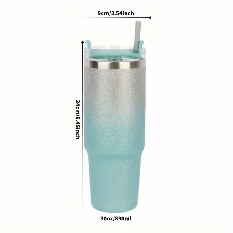 Stainless Steel Insulated Bottle DailySale