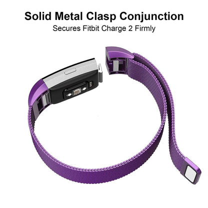 Stainless Steel Mesh Milanese Loop Band for Fitbit Charge 2 DailySale