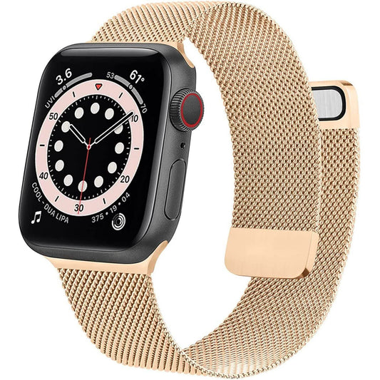 Stainless Steel Mesh Strap Replacement for Apple Watch DailySale