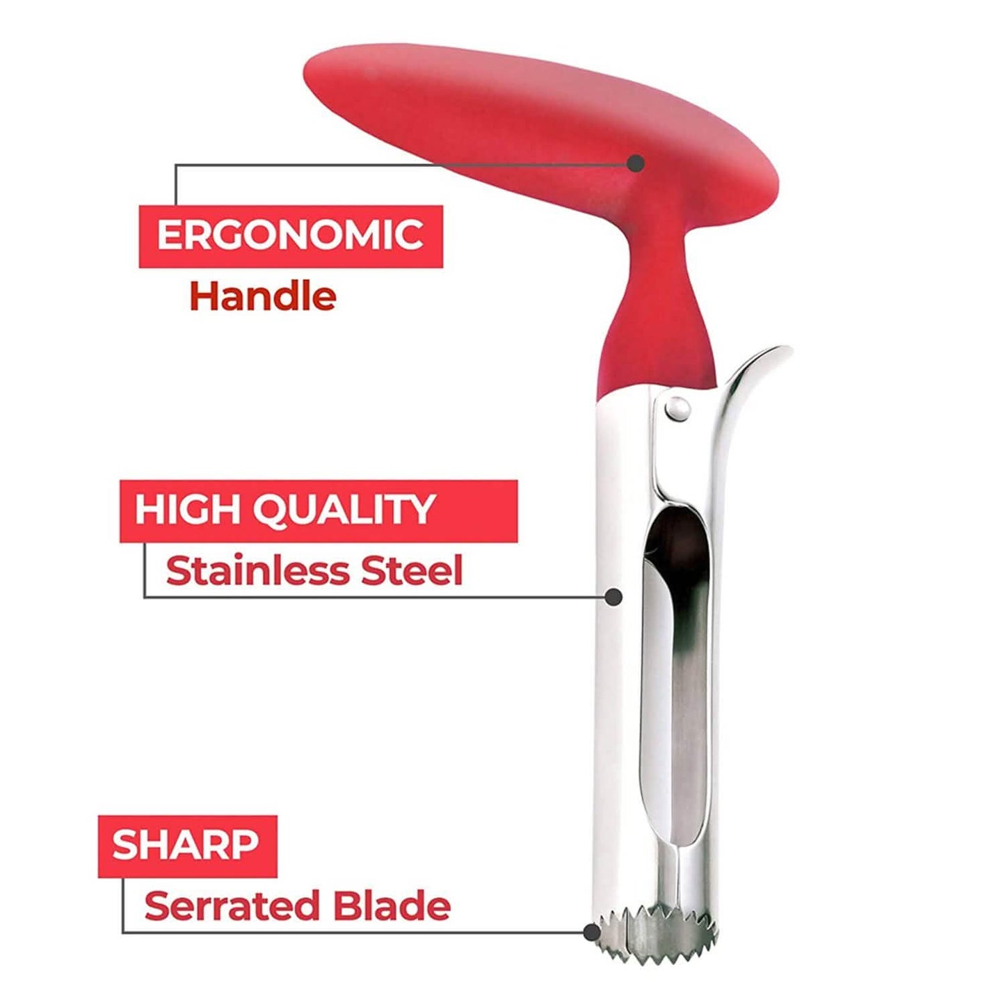 Stainless Steel Premium Apple And Fruit Corer Remover DailySale