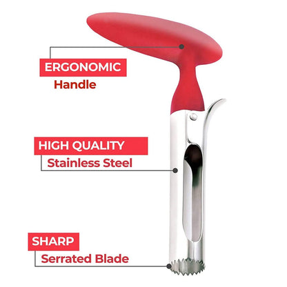 Stainless Steel Premium Apple And Fruit Corer Remover DailySale