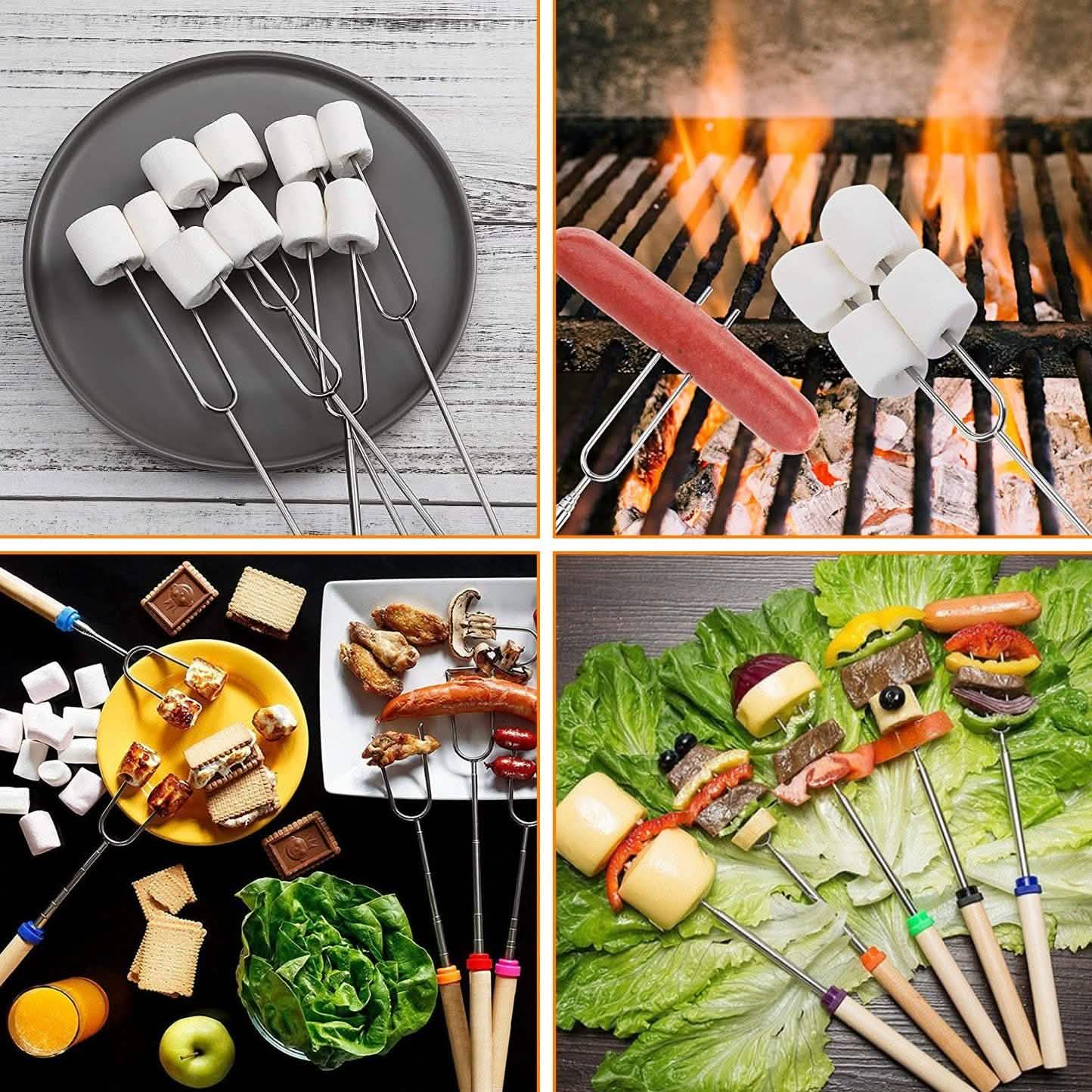 Stainless Steel Roasting Sticks DailySale