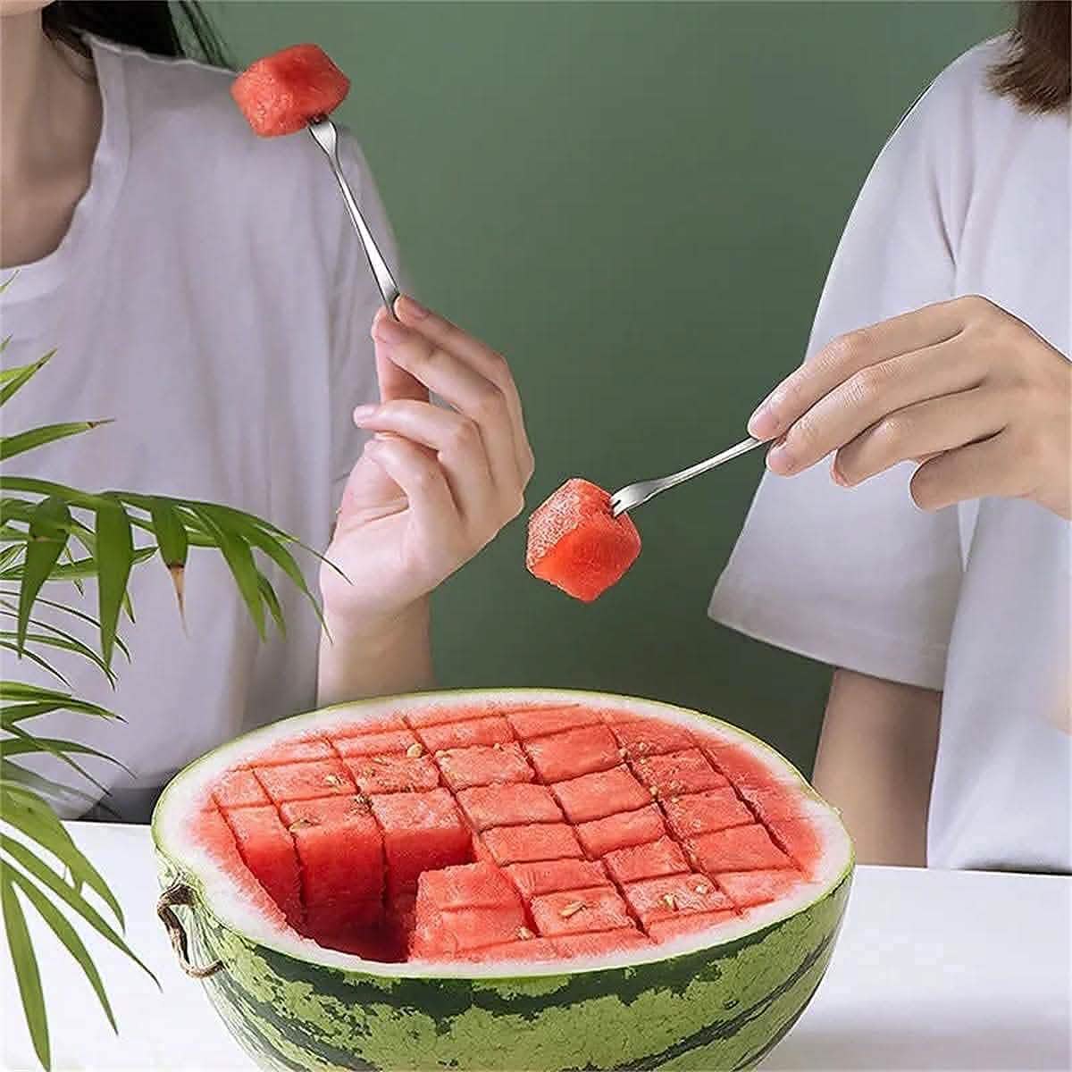 Stainless Steel Watermelon Cube Cutter DailySale