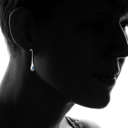 Sterling Silver Gemstone Water Drop Earrings DailySale