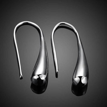 Sterling Silver Plated Waterdrop Hook Earrings DailySale