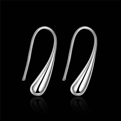 Sterling Silver Waterdrop Hook Earrings DailySale
