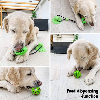 Suction Cup and Play IQ Toy Treat Ball DailySale