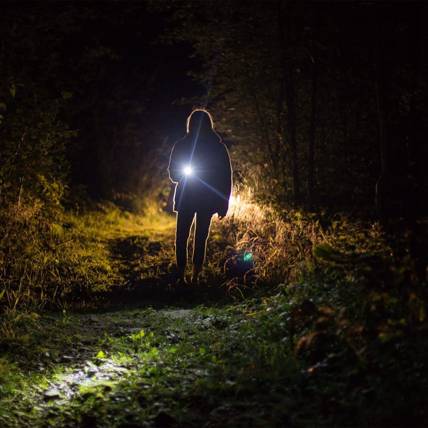 Tactical Military LED Flashlight DailySale