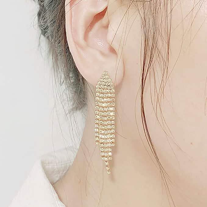 Tassel Linear Drop Earrings DailySale