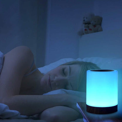 Touch Rechargeable LED Night Light DailySale