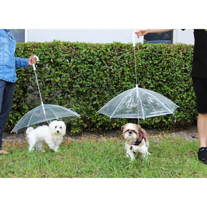 Transparent Outdoor Dog or Puppy Umbrella with Chain Leash DailySale