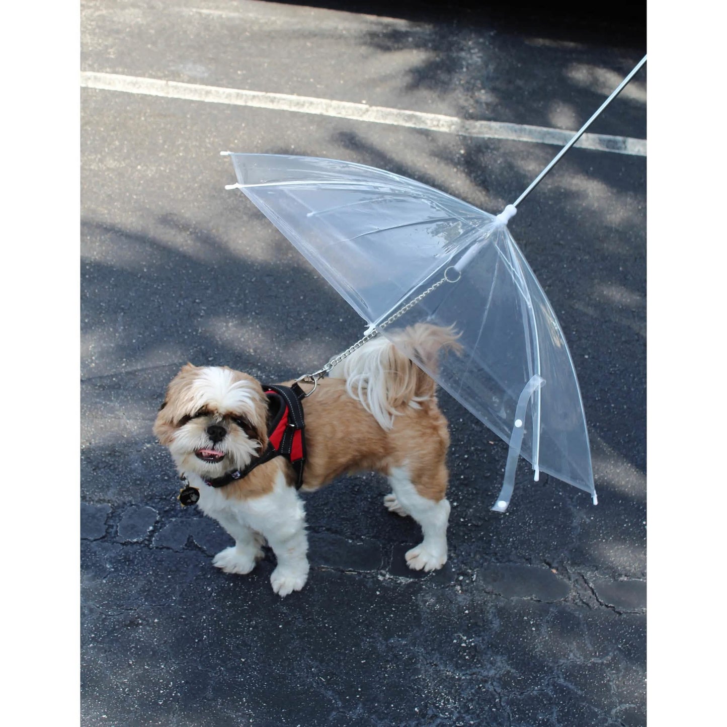 Transparent Outdoor Dog or Puppy Umbrella with Chain Leash DailySale
