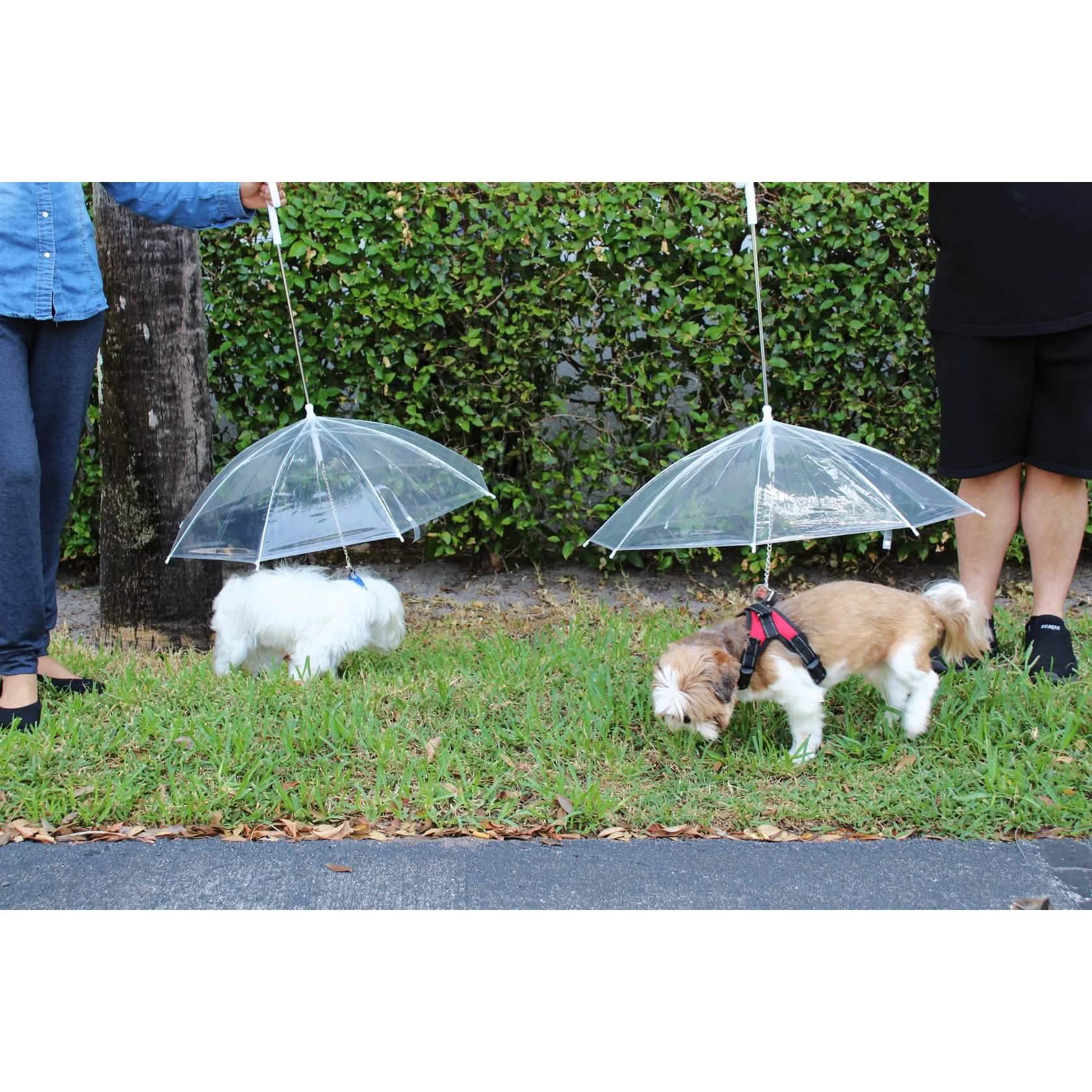Transparent Outdoor Dog or Puppy Umbrella with Chain Leash DailySale