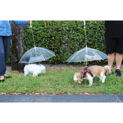 Transparent Outdoor Dog or Puppy Umbrella with Chain Leash DailySale