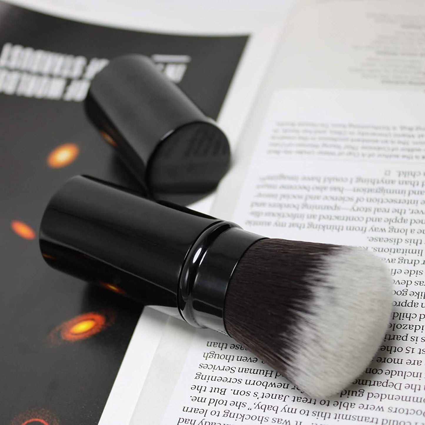 Travel Face Blush Brush DailySale