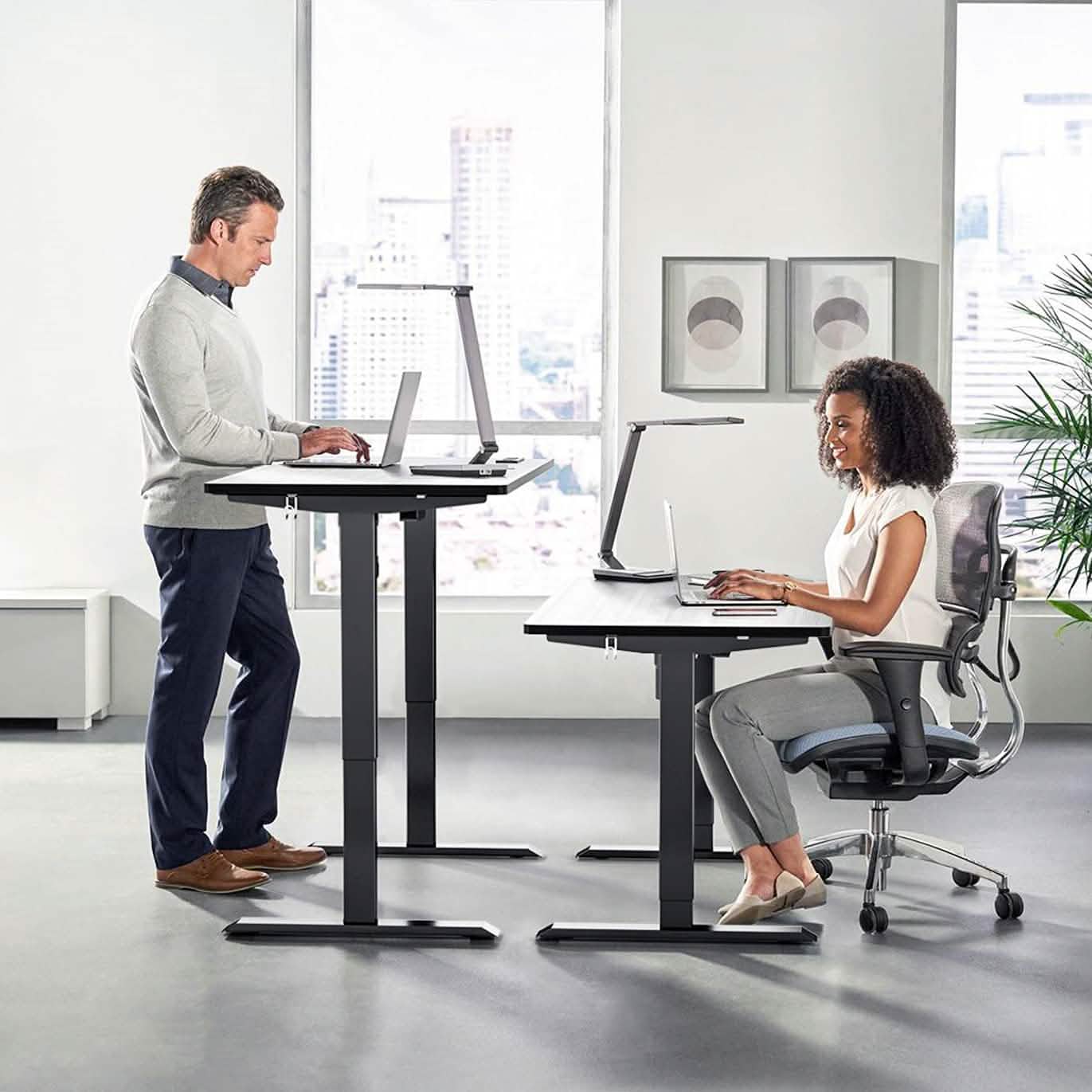 TTKK Electric Standing Desk DailySale