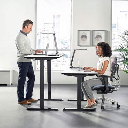 TTKK Electric Standing Desk DailySale