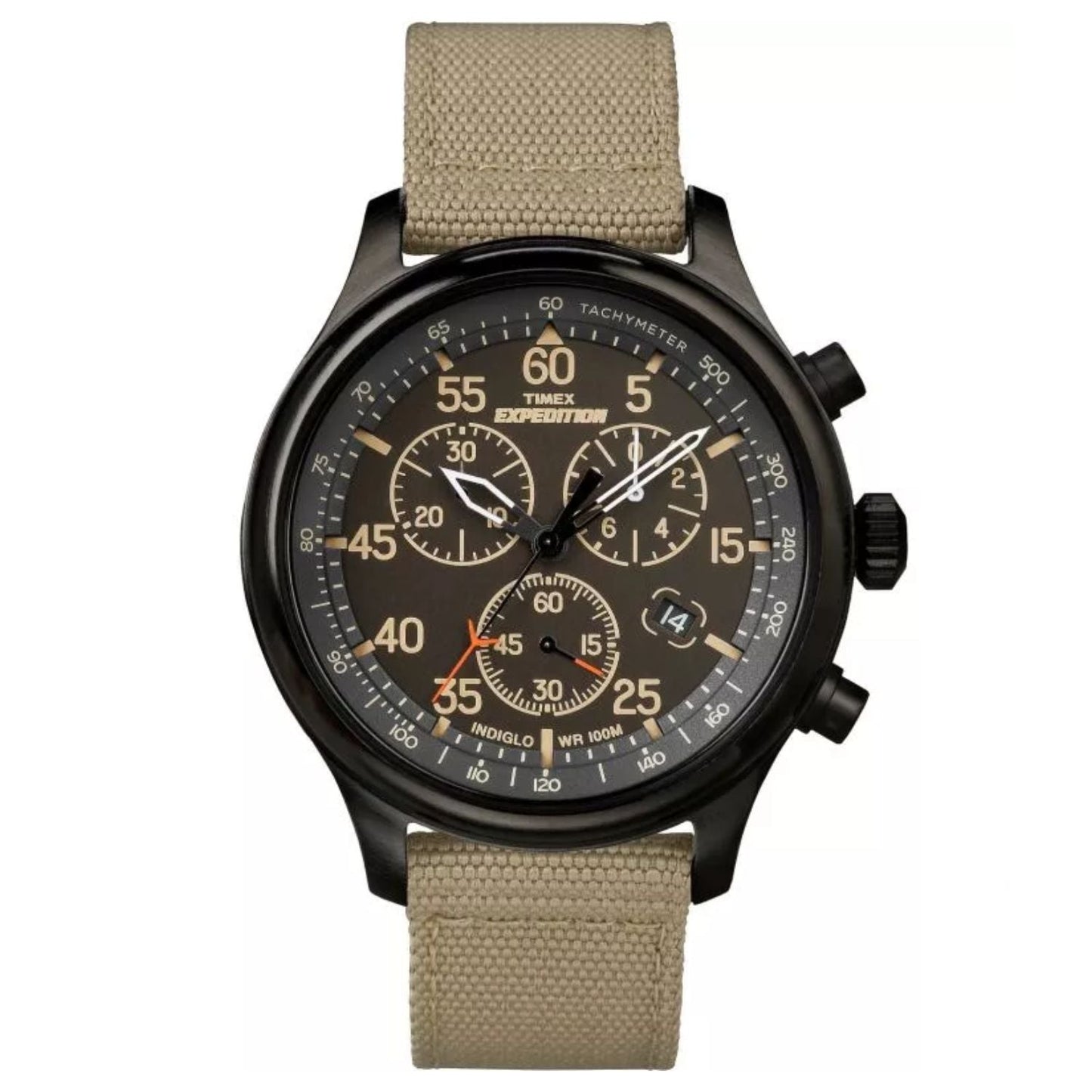 Timex Men's Expedition Bids.com