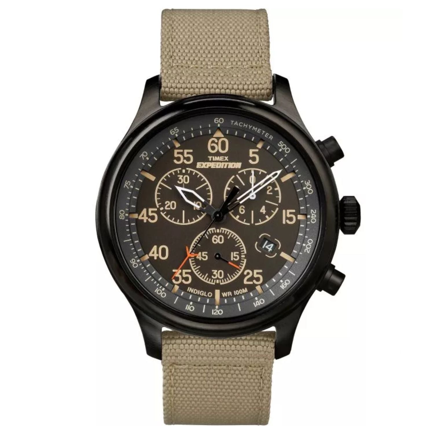 Timex Men's Expedition Bids.com