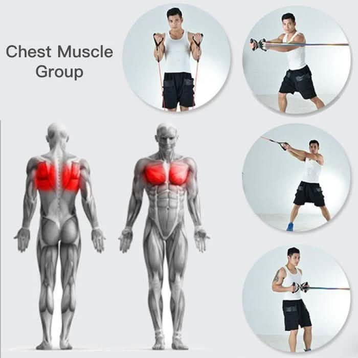 Ultimate Home Workout Set DailySale