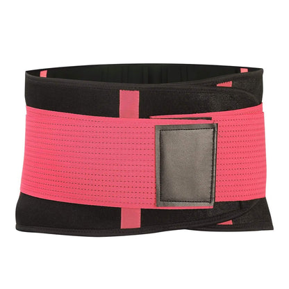 Unisex Back Support Belt DailySale