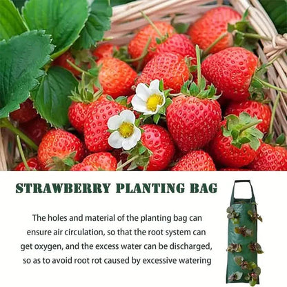 Upside Down Tomato Grow Bag DailySale