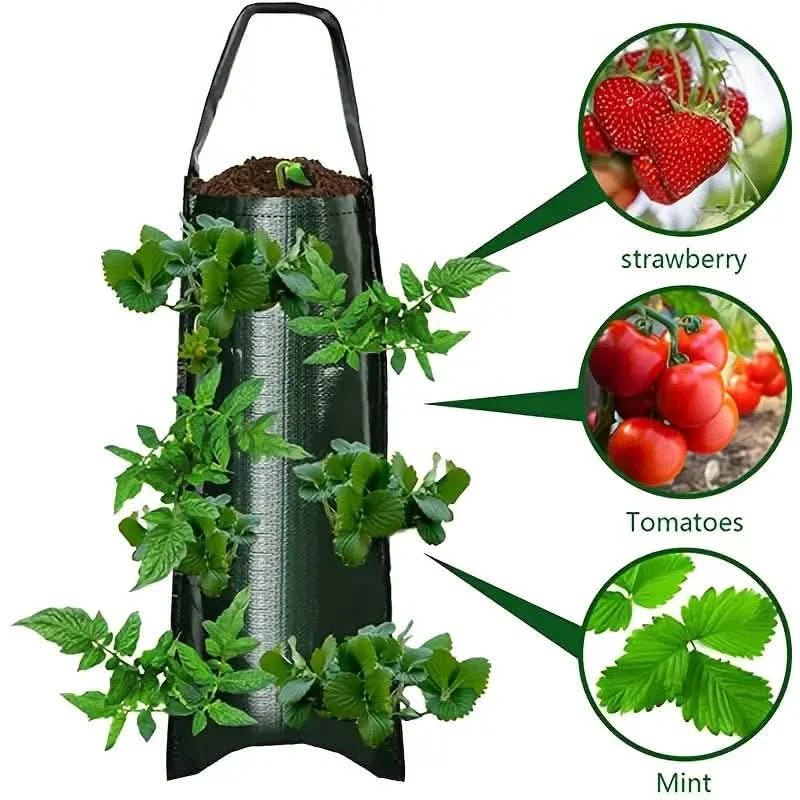 Upside Down Tomato Grow Bag DailySale