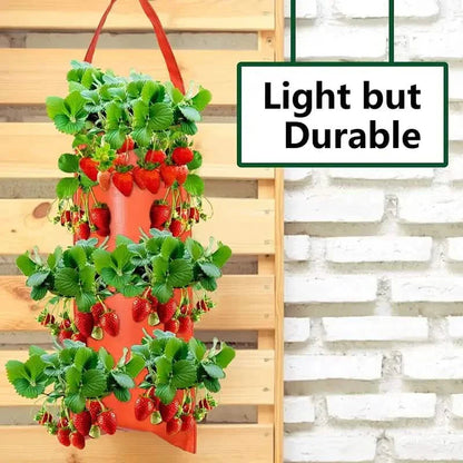 Upside Down Tomato Grow Bag DailySale