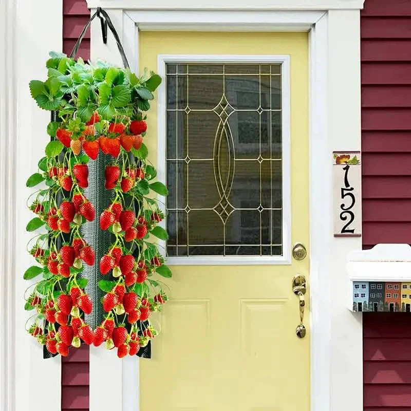 Upside Down Tomato Grow Bag DailySale