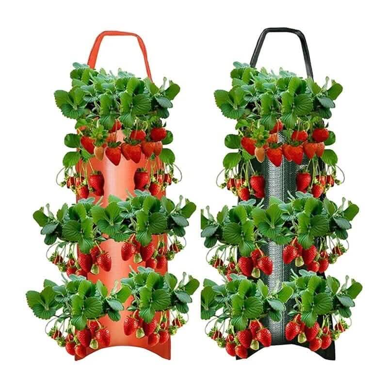 Upside Down Tomato Grow Bag DailySale