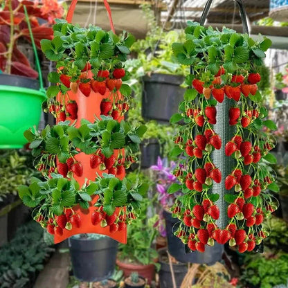 Upside Down Tomato Grow Bag DailySale